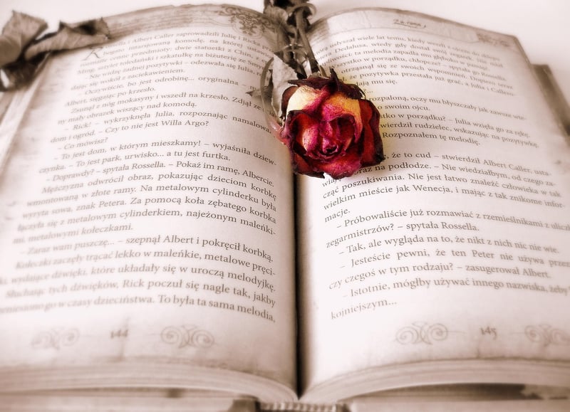 Historical Romance Book